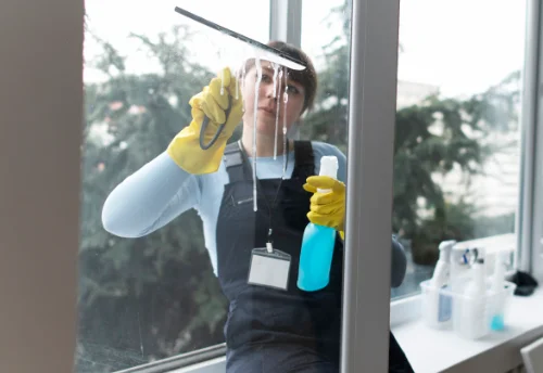 Nettoyage de vitres intérieures et extérieures à Merry-la-Vallée